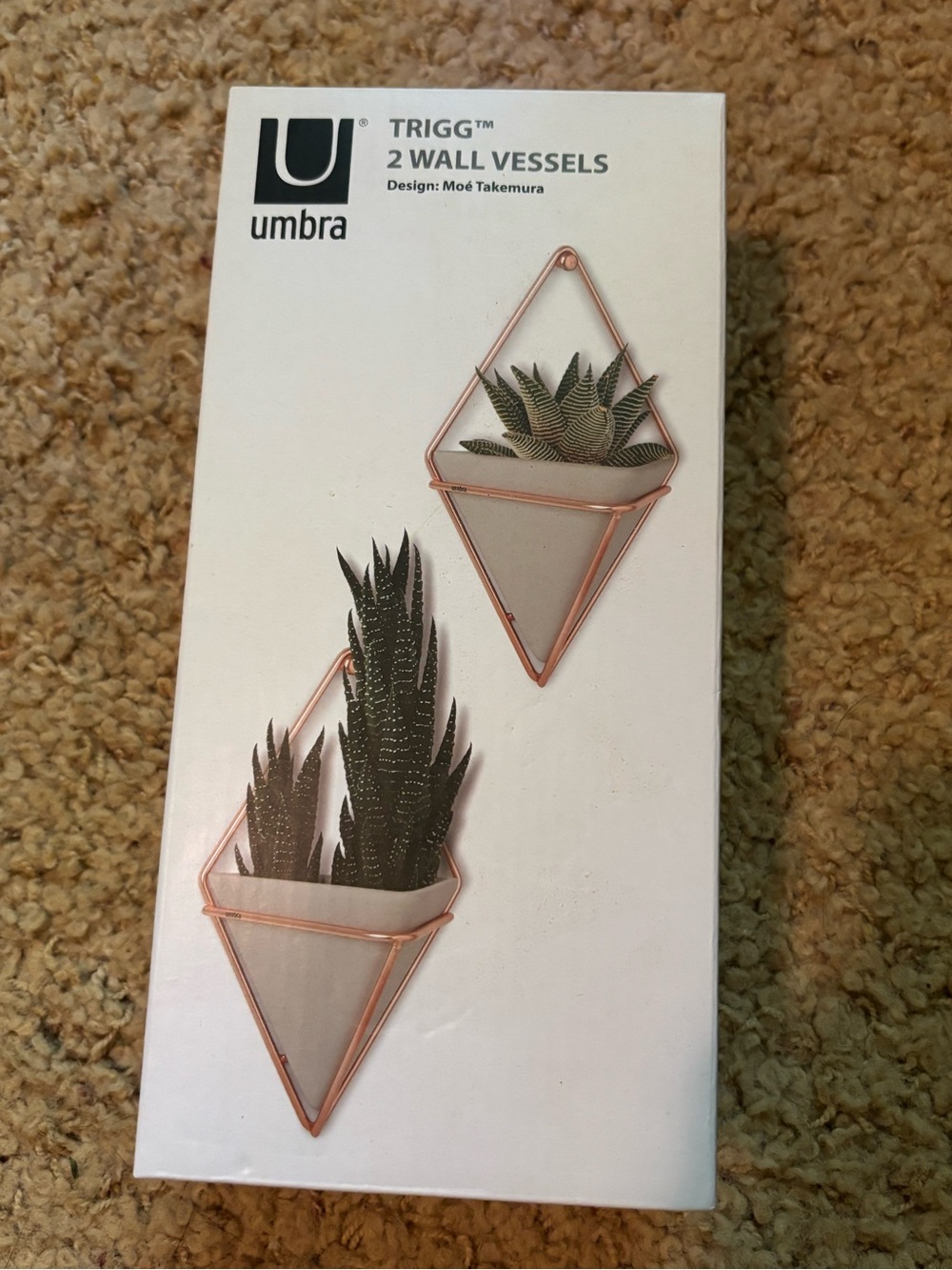 Umbra Trigg 2-Pack Wall Planters
